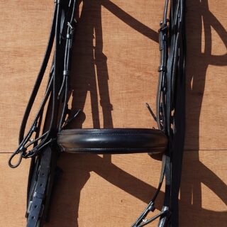 Schockemöhle Kandar